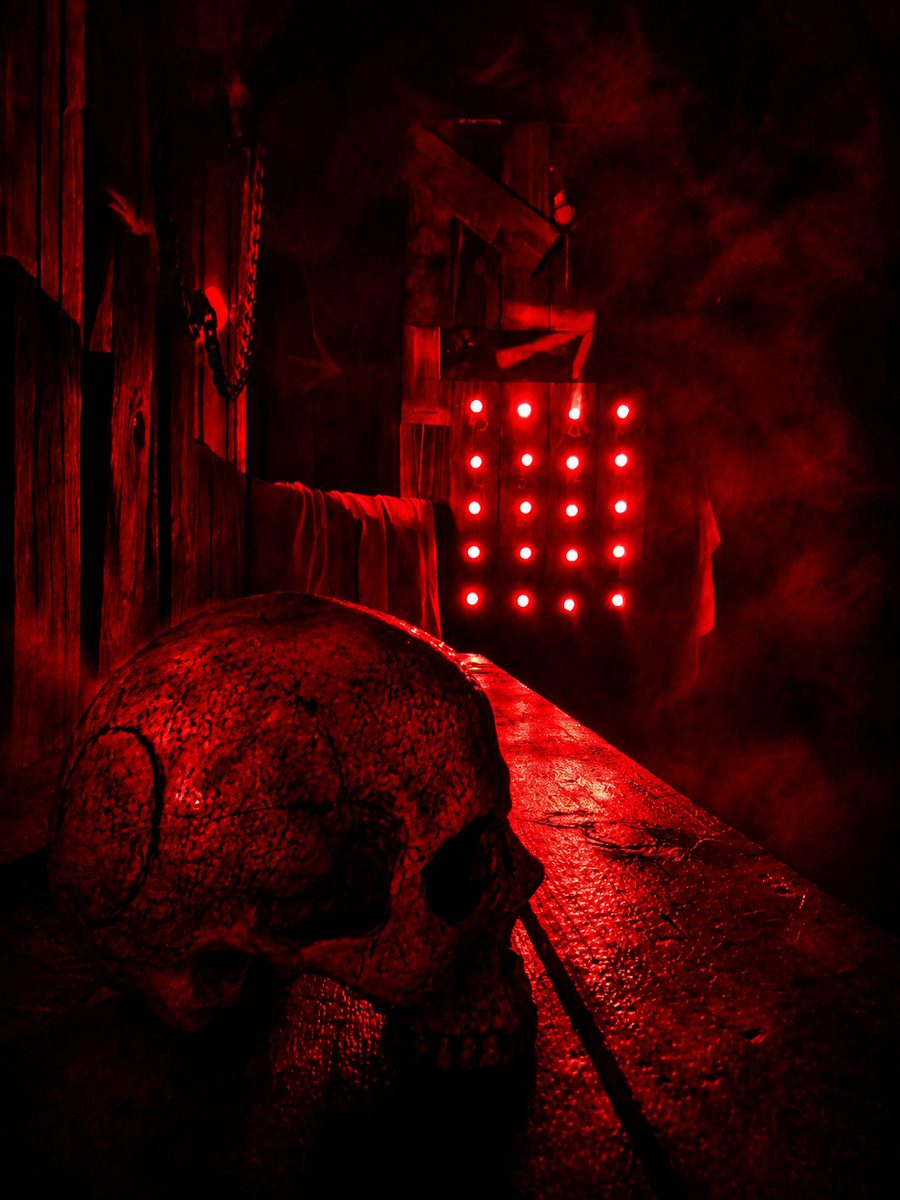 The Asylum escape room